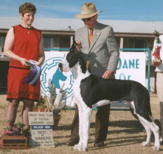 mantle great dane classic example