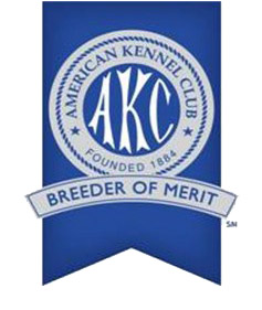 American Kennel Club Award of Merit